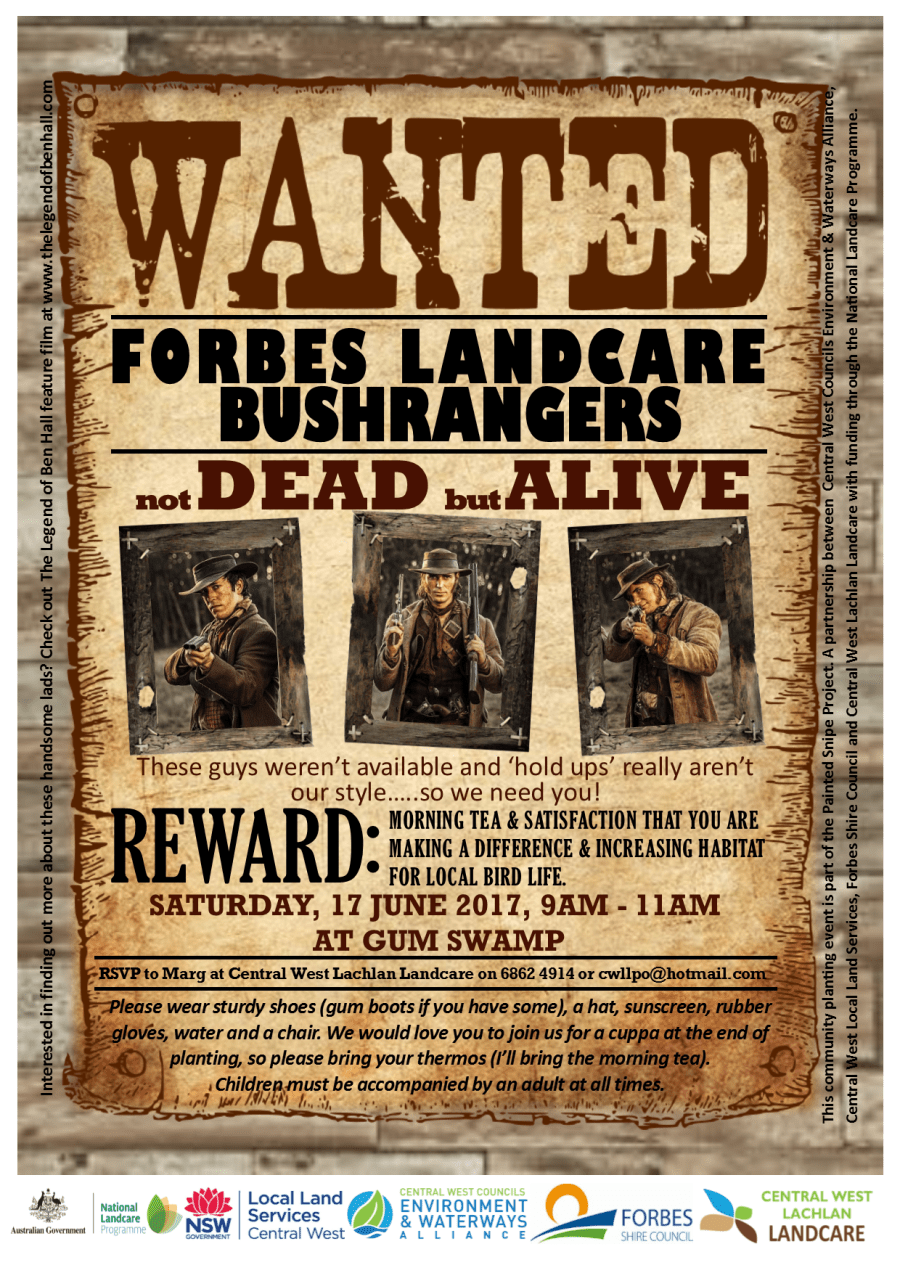 Forbes Bushrangers draft flier