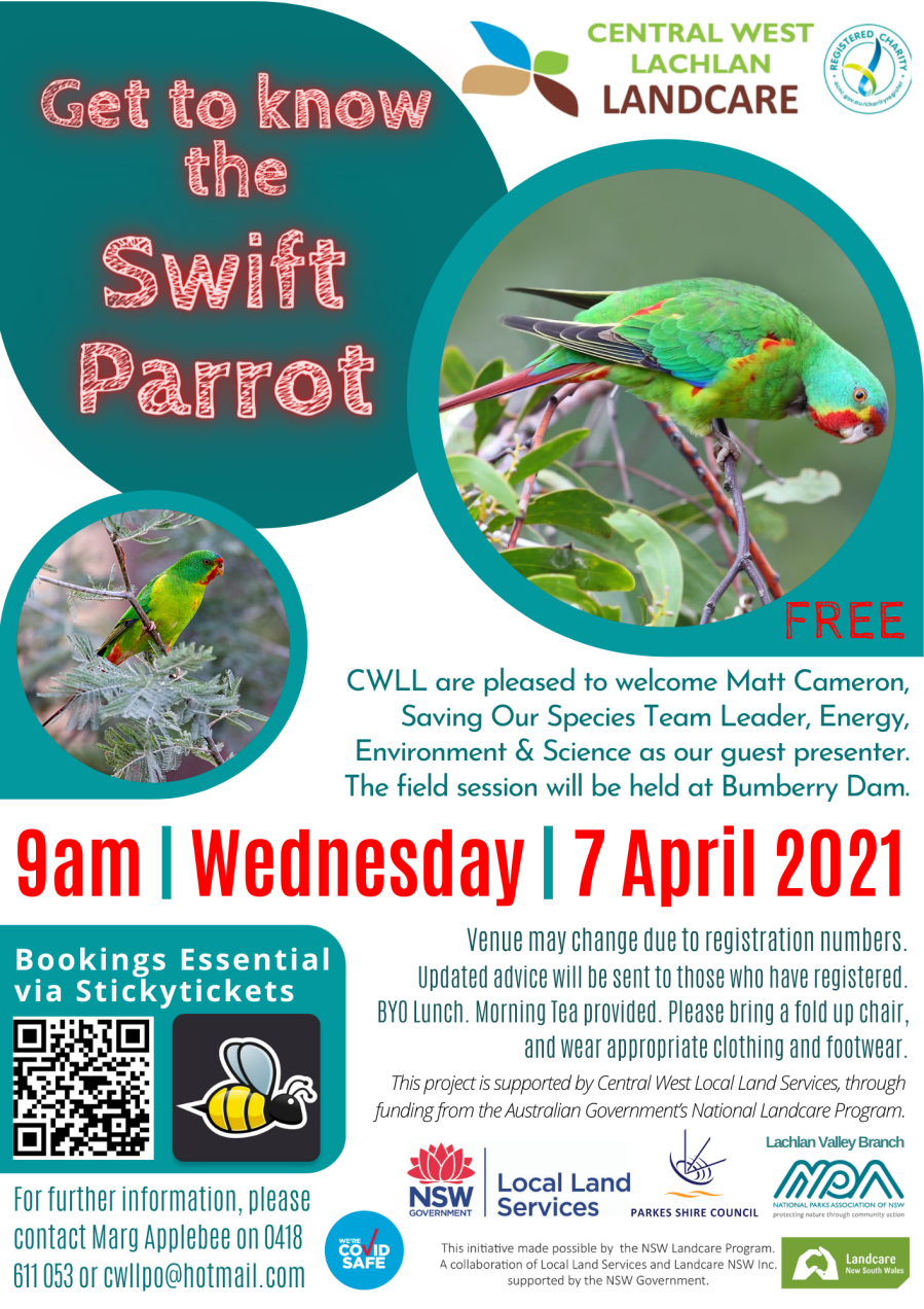 Get to Know the Swift Parrot Field Day (7-4-2021)