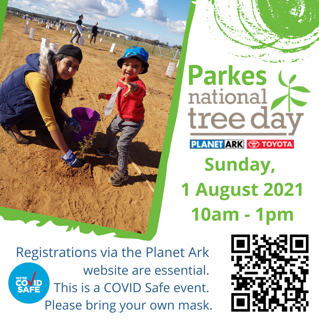 parkes-ntd-instagram-2021-1