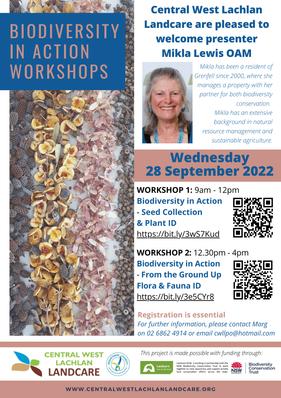 Biodiversity In Action Workshops x 2 with Mikla Lewis (28-9-2022)