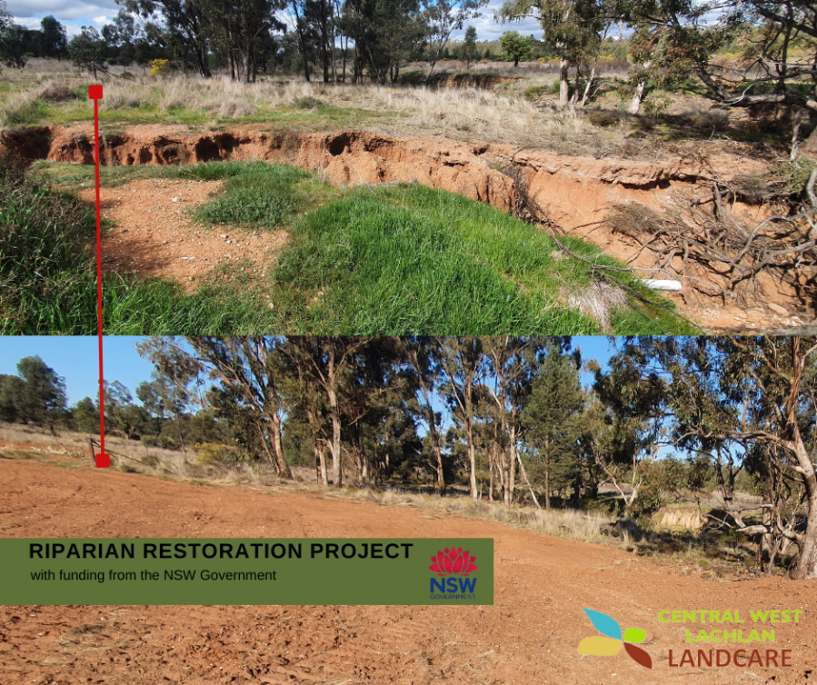 Copy of RIPARIAN RESTORATION PROJECT