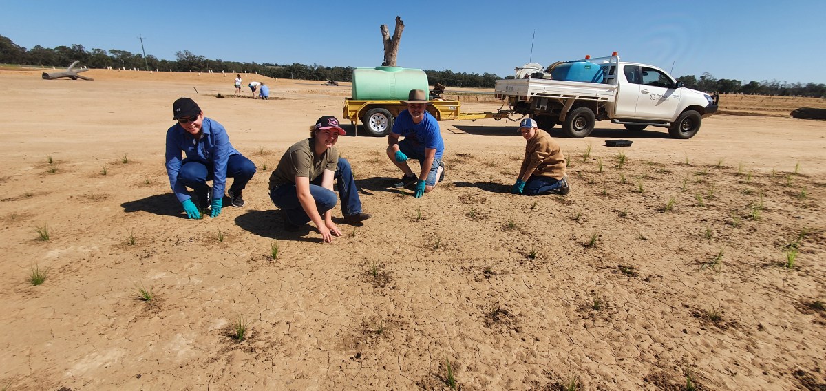 Looking At Landcare (1/2/2024) World Wetlands Day! Central West